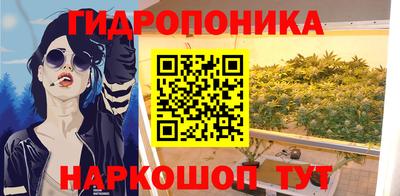 твердый Гусев