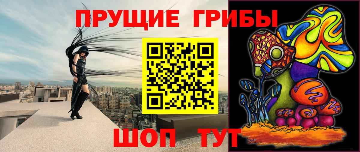 Галлюциногенные грибы мицелий Лесосибирск