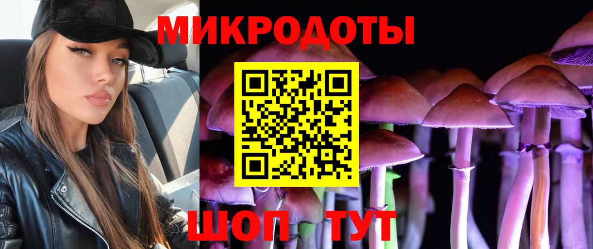 Галлюциногенные грибы Cubensis  Вход с VPN  Лесосибирск 